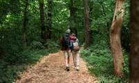 Deux personnes se baladent en forêt