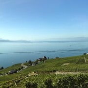 Vue durant le trajet