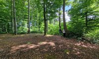 Mehrere Menschen stehen auf einer kleinen Lichtung in einem grünen, dicht bewachsenen Buchenwald.