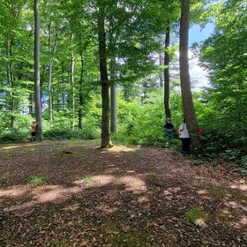 Mehrere Menschen stehen auf einer kleinen Lichtung in einem grünen, dicht bewachsenen Buchenwald.