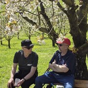 Zwei Mitglieder geniessen den Schatten unter einem Kirschbaum