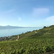 Vue durant le trajet (suite)