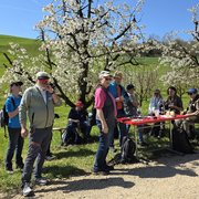 Unsere Mitglieder rund um den Tisch mit der Zwischenverpflegung vor einem blühenden Kirschbaum