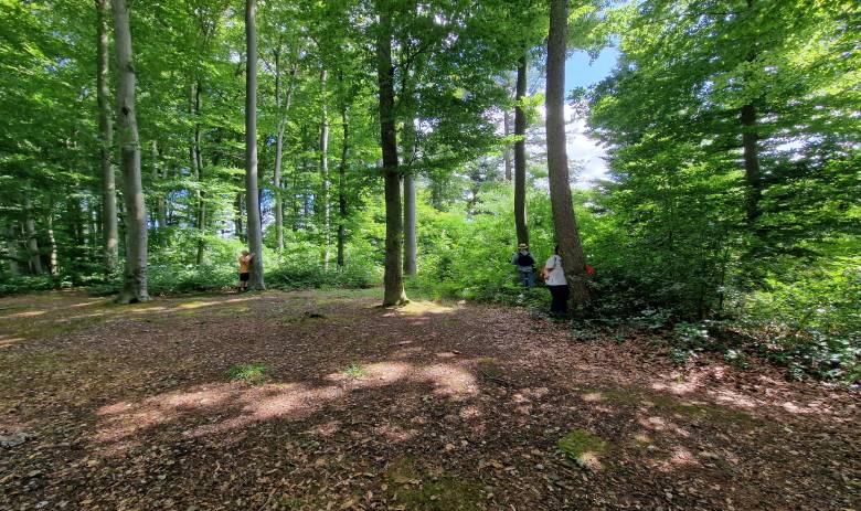 Mehrere Menschen stehen auf einer kleinen Lichtung in einem grünen, dicht bewachsenen Buchenwald.